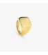 Anillo Hombre Sello Ancho Oro T24 SHINE - RH000027-24